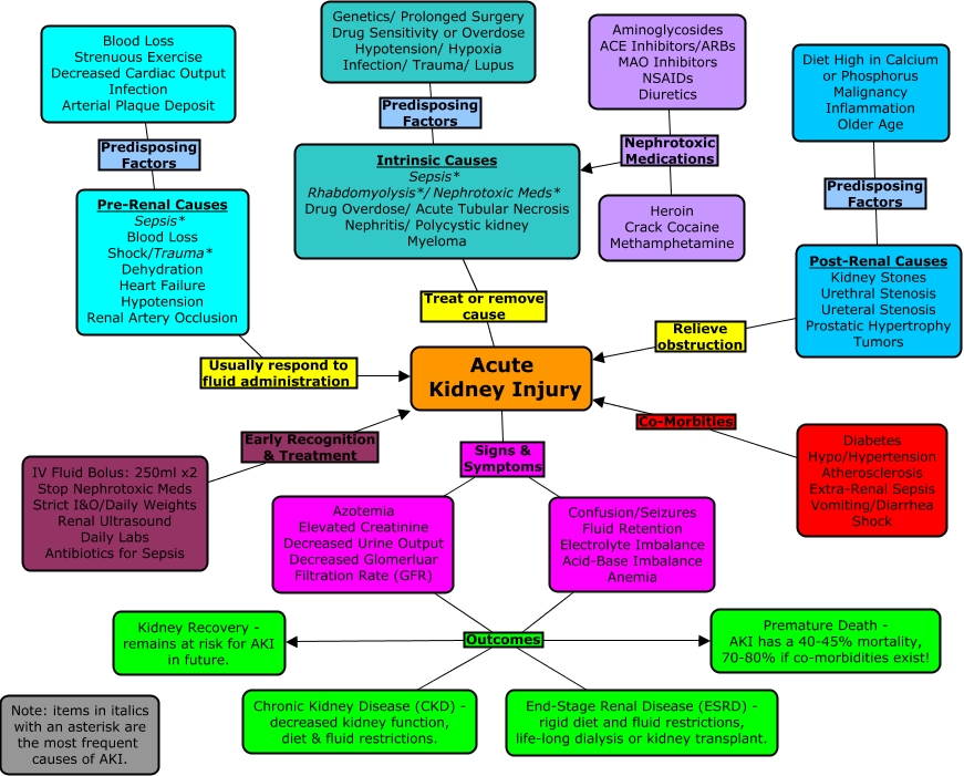 Acute Kidney Injury